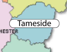 Tameside service area icon